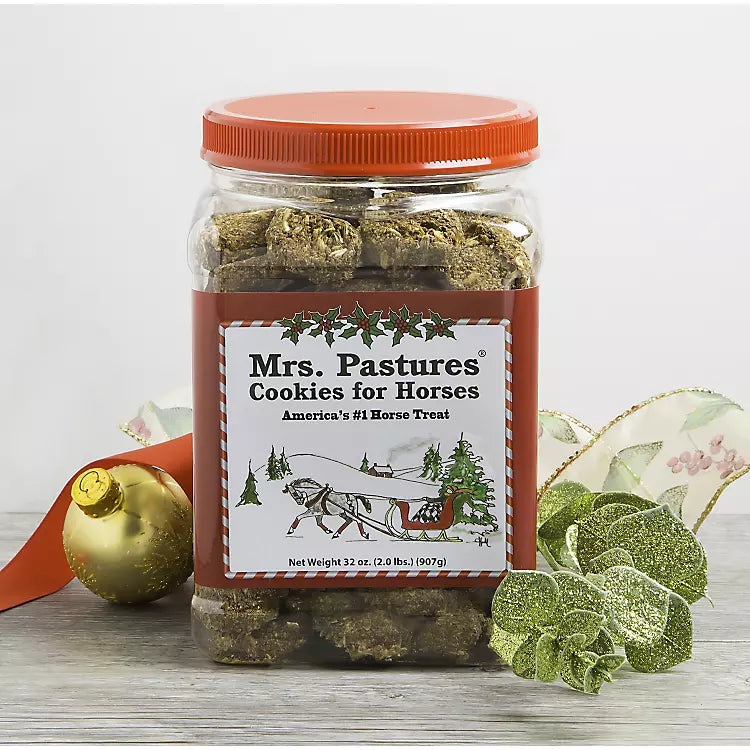 Men's Coats for SkiingChristmas Cookie Jar - 2lb.